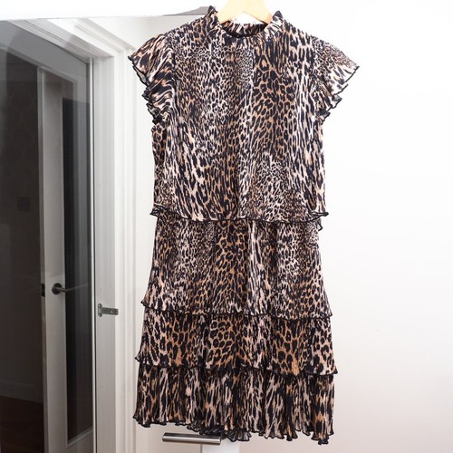 All saints tier animal - all, 8